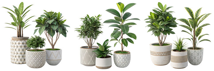 Obraz premium Collection of potted plants, isolated on white background, 3D render, home decor, interior design, Plant pots, houseplants, 3D rendering