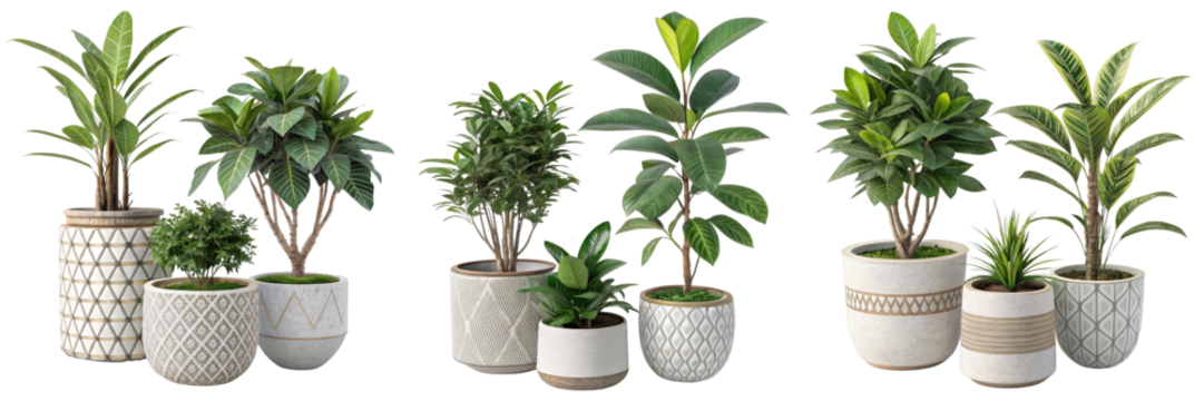 Collection of potted plants, isolated on white background, 3D render, home decor, interior design, Plant pots, houseplants, 3D rendering