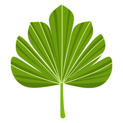 Green fan shape leaf illustration minimalist geometric vector