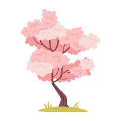Pink blooming tree. Japanese cherry or sakura tree on white background. Vector botanical element for spring, Hanami