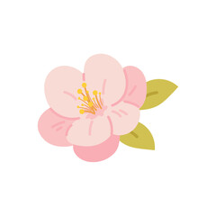 Spring pink flower on white background. Flower of tree, Japanese cherry tree. Vector botanical element
