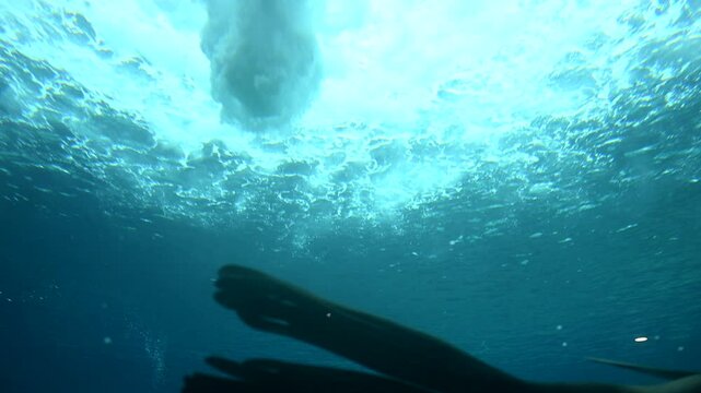 Witness young sea lions frolicking underwater as they glide and twist under a magnificent blue waterfall. This slow motion capture reveals their playful nature in a mesmerizing environment