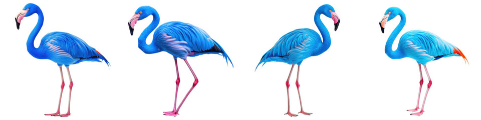 Obraz premium Vibrant Pink Flamingo Standing Tall and Graceful in Scenic Tropical Wetland Setting with Reflection in Calm Water Exotic and Colorful Wildlife Photography of Beautiful Bird in Natural Habitat