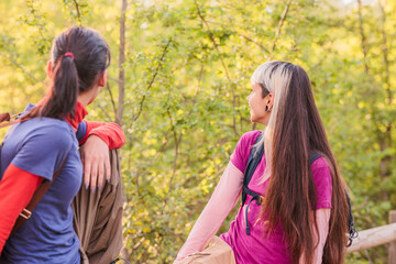 Fototapeta premium Hikers relaxing and chatting during trekking excursion in forest