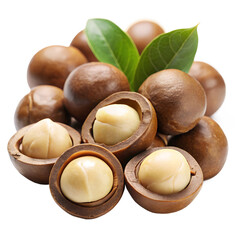 Macadamia nuts isolated on transparent background.