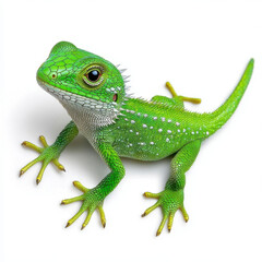 Naklejka premium Vibrant Green Lizard: A Close-Up View of Nature's Jewel