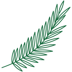 Hand Drawn Aesthetic Leaves