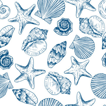 Toile de jouy seashells pattern. Colorful seamless shells and starfish pattern. Perfect for greetings, invitations, manufacture wrapping paper, textile and web design. Vector ocean pattern.