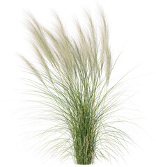 Grass, Turf, Lawn, Bush, Flowers Overlay