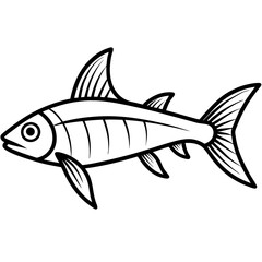 fish isolated on white background