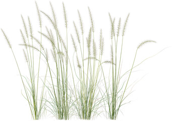 Grass, Turf, Lawn, Bush, Flowers Overlay