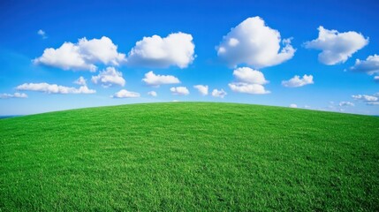 Fototapeta premium A close-up of green grass with shadows of clouds passing overhead on a sunny day