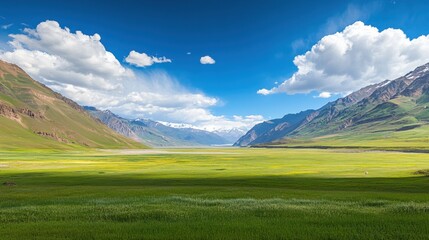 A panoramic view of green grass stretching endlessly under a vivid blue sky with puffy clouds