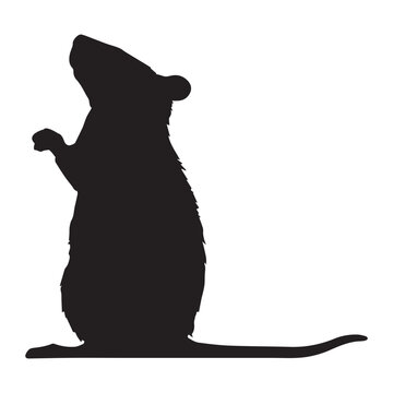 black rat silhouette looking up clip art preview