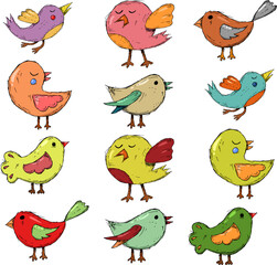 set of birds