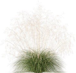 Grass, Turf, Lawn, Bush, Flowers Overlay