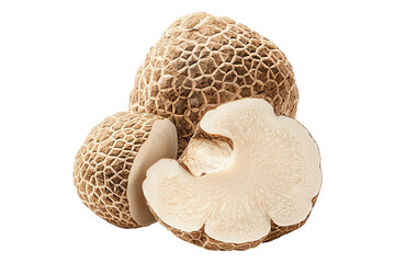 Fresh Desert truffles Terfezia and Tirmania species isolated on white transparent background, great for culinary and gourmet themes.