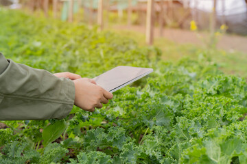 Worker's hands using digital tablet in greenhouse. Modern agricultural technology concept.
