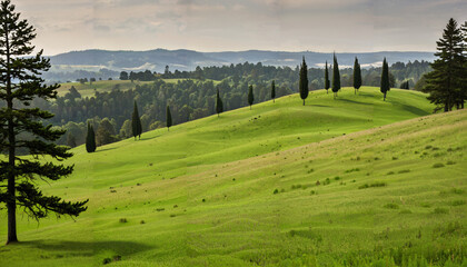 Collines verdoyantes et cypr&egrave;s