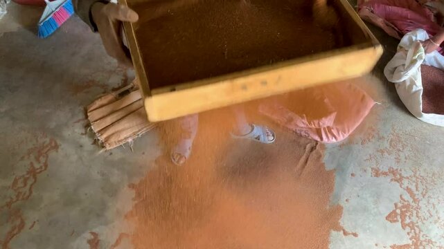 Sift to clean the grain for small rocks made by hands