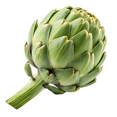 Obraz premium Whole artichoke on a transparent background