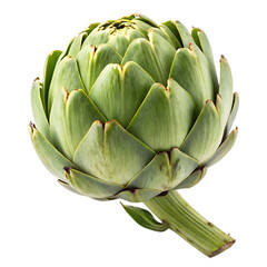 Obraz premium Whole artichoke on a transparent background