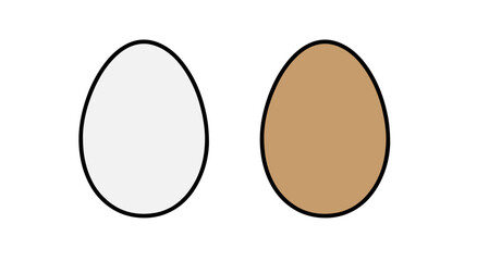 brown and white egg on a white background,