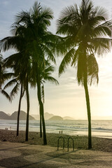 Palm trees at the promenade of Copacabana Beach in Rio de Janeiro in Brazil at sunrise