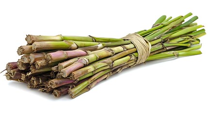 A bunch of fresh green sugarcane stalks isolated on a white background, 