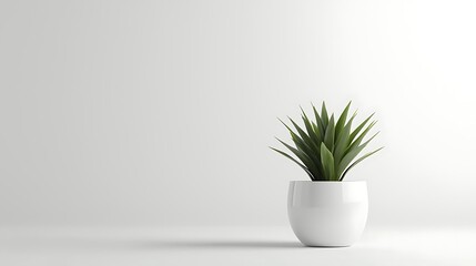 A small potted plant sits on a white table