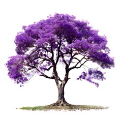 Obraz premium A beautiful green bush tree isolated on a white background