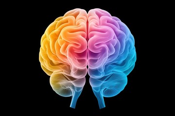 Vibrant 3D illustration of a human brain with colorful gradient hues, highlighting neural structures on a black background.