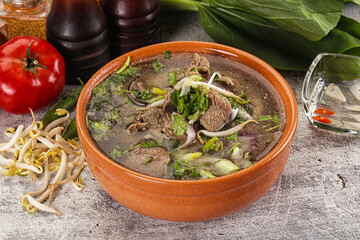 Vietnamese cuisine - Pho Bo soup with beef