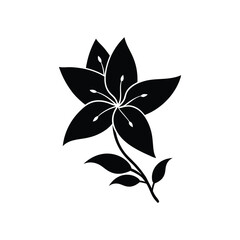 Jasmine Flower Vector, Vector Jasmine Illustration, Jasmine Bloom