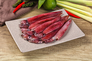 Raw fresh squids for cooking