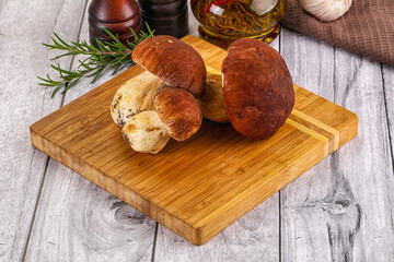 Raw natural wild porchini mushrooms