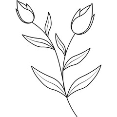Hand Drawn Aesthetic Leaves