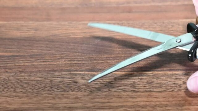 ナチュラル背景