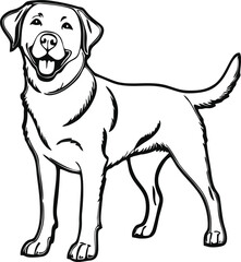 Labrador Retriever dog line vector illustration white background