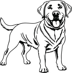 Labrador Retriever dog line vector illustration white background