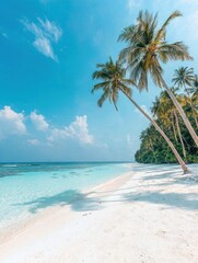 Obraz premium Relaxing beach scene maldives nature photography tropical paradise aerial view serenity and escape