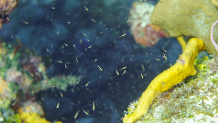 DSC06179-Verbessert-RR.dng