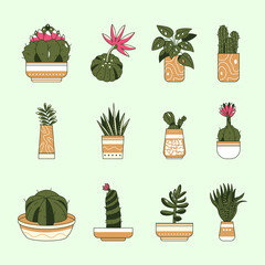 Cactus Illustration Pack