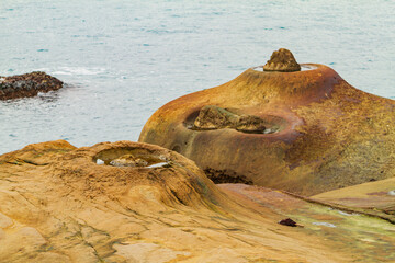 Daytime view of the Candelabra Rock of Yehliu Geopark