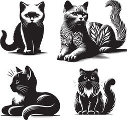 Silhouette of Cat isolated with white background