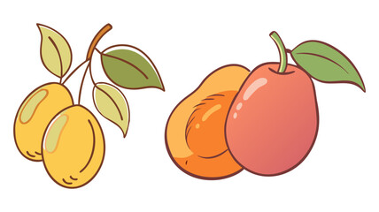 nance vector icon, fruit vector illustration - simple illustration of nance perfect for logos, and fruit-themed designs.