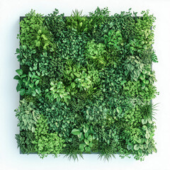 Obraz premium Vibrant indoor vertical garden with lush greenery for a fresh and natural ambiance