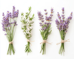Fototapeta premium Collection of White and Purple Lavender Sprigs Arranged Elegantly