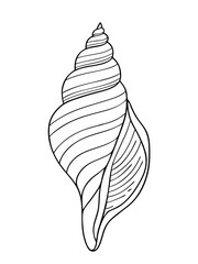 Liner art of spiral seashell. Vector illustration 
