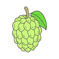 custard apple vector icon, fruit vector illustration - simple illustration of custard apple perfect for logos, and fruit-themed designs. © Waliul